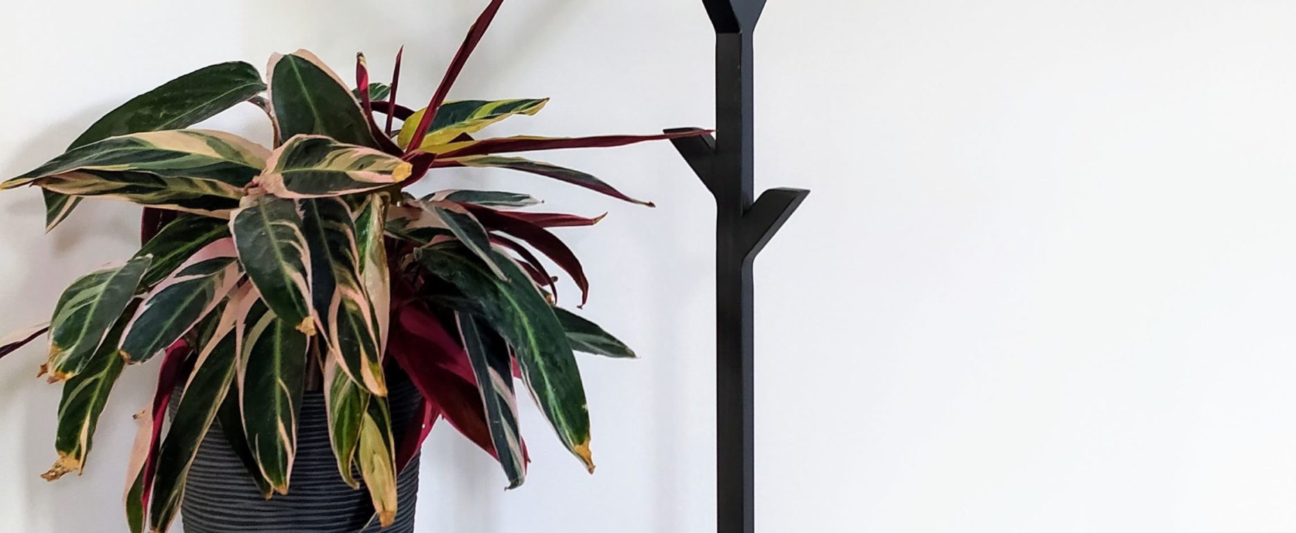 porte-manteaux acier noir forme atypique esprit arbre